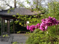 IMAG0251.jpg