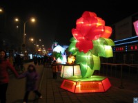 IMG_3974.JPG