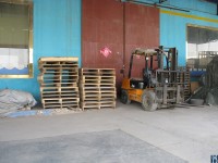 IMG_3270.JPG