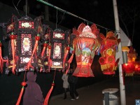 IMG_5309 .JPG