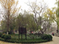 В парке Цзинаня