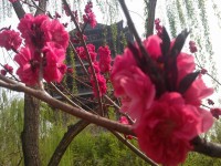 IMAG0205.jpg