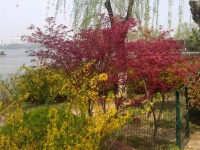 IMAG0161.jpg