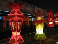 IMG_3969.JPG