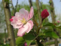 IMG_5625.JPG