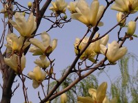 IMAG0235.jpg